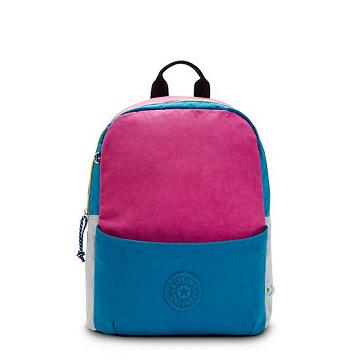 Kipling Sonnie 15" Backpack Laptoptassen Roze Blauw | België 1548PJ